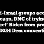 Anti-Israel groups accuse Chicago, DNC of trying to ‘protect’ Biden from protests at 2024 Dem convention