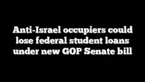 Anti-Israel occupiers could lose federal student loans under new GOP Senate bill