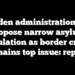 Biden administration to propose narrow asylum regulation as border crisis remains top issue: report