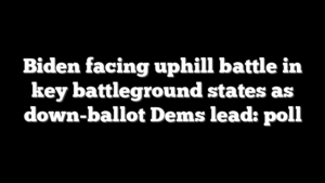 Biden facing uphill battle in key battleground states as down-ballot Dems lead: poll