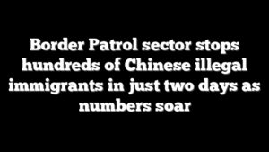 Border Patrol sector stops hundreds of Chinese illegal immigrants in just two days as numbers soar