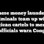 Chinese money laundering criminals team up with Mexican cartels to menace US, officials warn Congress