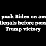 Dems push Biden on amnesty for illegals before possible Trump victory