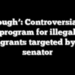 ‘Enough’: Controversial ID program for illegal immigrants targeted by GOP senator