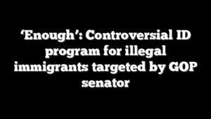 ‘Enough’: Controversial ID program for illegal immigrants targeted by GOP senator