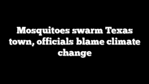 Mosquitoes swarm Texas town, officials blame climate change