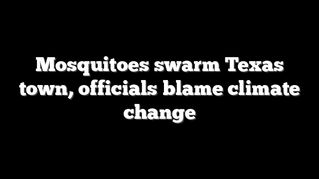 Mosquitoes swarm Texas town, officials blame climate change