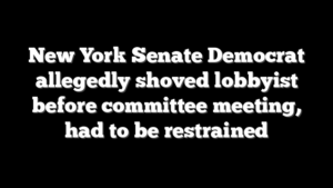 New York Senate Democrat allegedly shoved lobbyist before committee meeting, had to be restrained