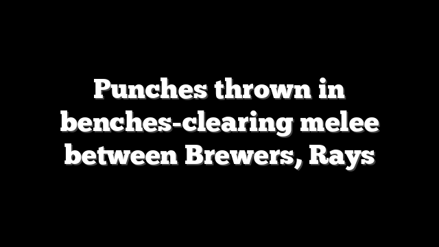 Punches thrown in benches-clearing melee between Brewers, Rays