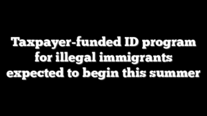 Taxpayer-funded ID program for illegal immigrants expected to begin this summer