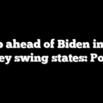 Trump ahead of Biden in these key swing states: Poll