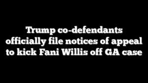 Trump co-defendants officially file notices of appeal to kick Fani Willis off GA case