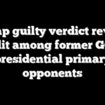 Trump guilty verdict reveals split among former GOP presidential primary opponents