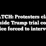 WATCH: Protesters clash outside Trump trial court, police forced to intervene