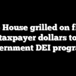 White House grilled on flow of taxpayer dollars to government DEI programs