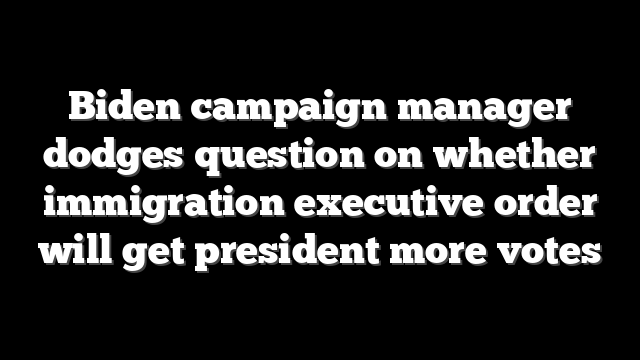 Biden campaign manager dodges question on whether immigration executive order will get president more votes
