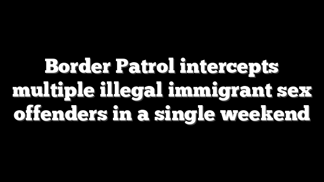 Border Patrol intercepts multiple illegal immigrant sex offenders in a single weekend