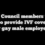 NYC Council members urge city to provide IVF coverage for gay male employees