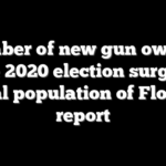 Number of new gun owners since 2020 election surged to equal population of Florida: report