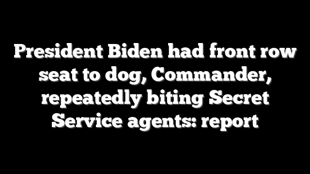 President Biden had front row seat to dog, Commander, repeatedly biting Secret Service agents: report