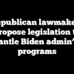 Republican lawmakers propose legislation to dismantle Biden admin’s DEI programs