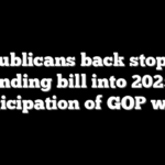 Republicans back stopgap spending bill into 2025 in anticipation of GOP wins