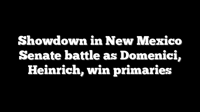 Showdown in New Mexico Senate battle as Domenici, Heinrich, win primaries
