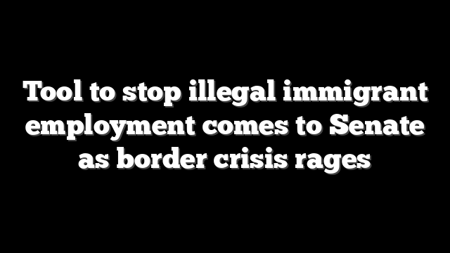 Tool to stop illegal immigrant employment comes to Senate as border crisis rages