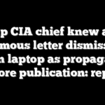 Trump CIA chief knew about infamous letter dismissing Biden laptop as propaganda before publication: report