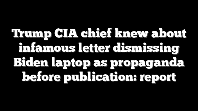 Trump CIA chief knew about infamous letter dismissing Biden laptop as propaganda before publication: report