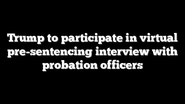 Trump to participate in virtual pre-sentencing interview with probation officers