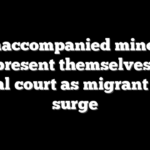 Unaccompanied minors represent themselves in federal court as migrant cases surge