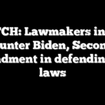 WATCH: Lawmakers invoke Hunter Biden, Second Amendment in defending gun laws