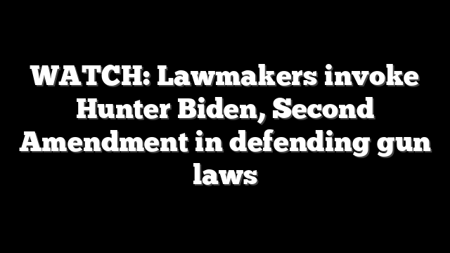 WATCH: Lawmakers invoke Hunter Biden, Second Amendment in defending gun laws