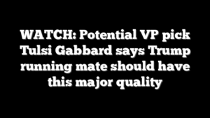 WATCH: Potential VP pick Tulsi Gabbard says Trump running mate should have this major quality