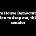 5 more House Democrats call on Biden to drop out, third US senator