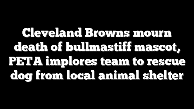 Cleveland Browns mourn death of bullmastiff mascot, PETA implores team to rescue dog from local animal shelter