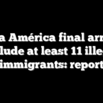 Copa América final arrests include at least 11 illegal immigrants: report