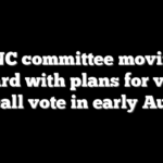 DNC committee moving forward with plans for virtual roll call vote in early August