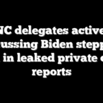 DNC delegates actively discussing Biden stepping down in leaked private chats: reports