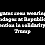 Delegates seen wearing ear bandages at Republican convention in solidarity with Trump