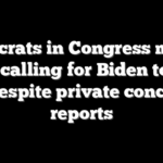 Democrats in Congress mostly resist calling for Biden to drop out despite private concerns: reports