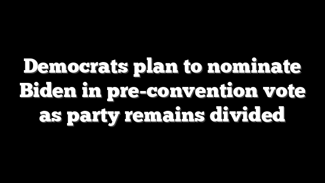 Democrats plan to nominate Biden in pre-convention vote as party remains divided