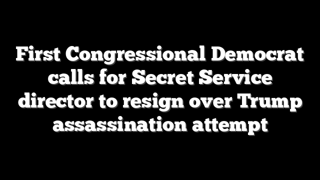 First Congressional Democrat calls for Secret Service director to resign over Trump assassination attempt