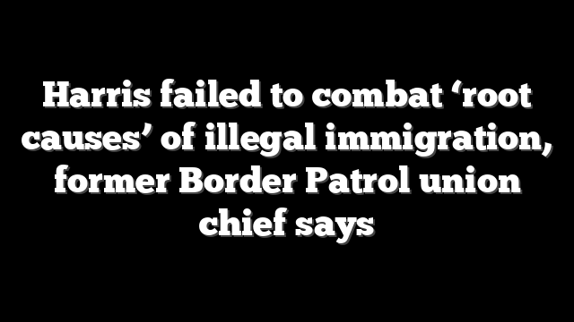 Harris failed to combat ‘root causes’ of illegal immigration, former Border Patrol union chief says