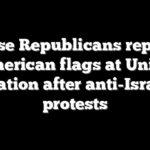 House Republicans replace American flags at Union Station after anti-Israel protests