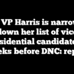 How VP Harris is narrowing down her list of vice presidential candidates 2 weeks before DNC: report