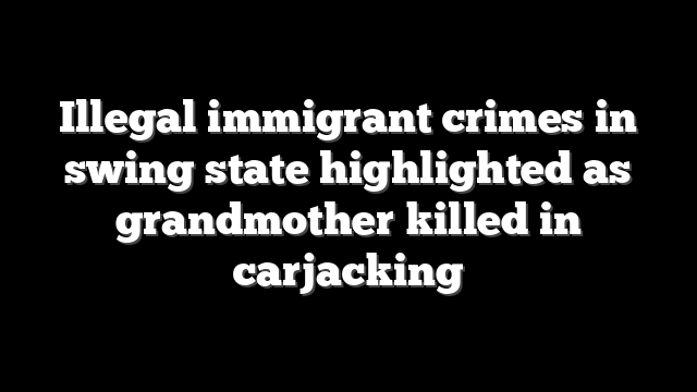 Illegal immigrant crimes in swing state highlighted as grandmother killed in carjacking