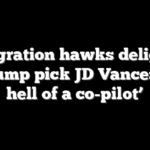 Immigration hawks delighted at Trump pick JD Vance: ‘One hell of a co-pilot’