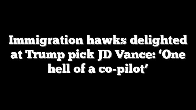 Immigration hawks delighted at Trump pick JD Vance: ‘One hell of a co-pilot’